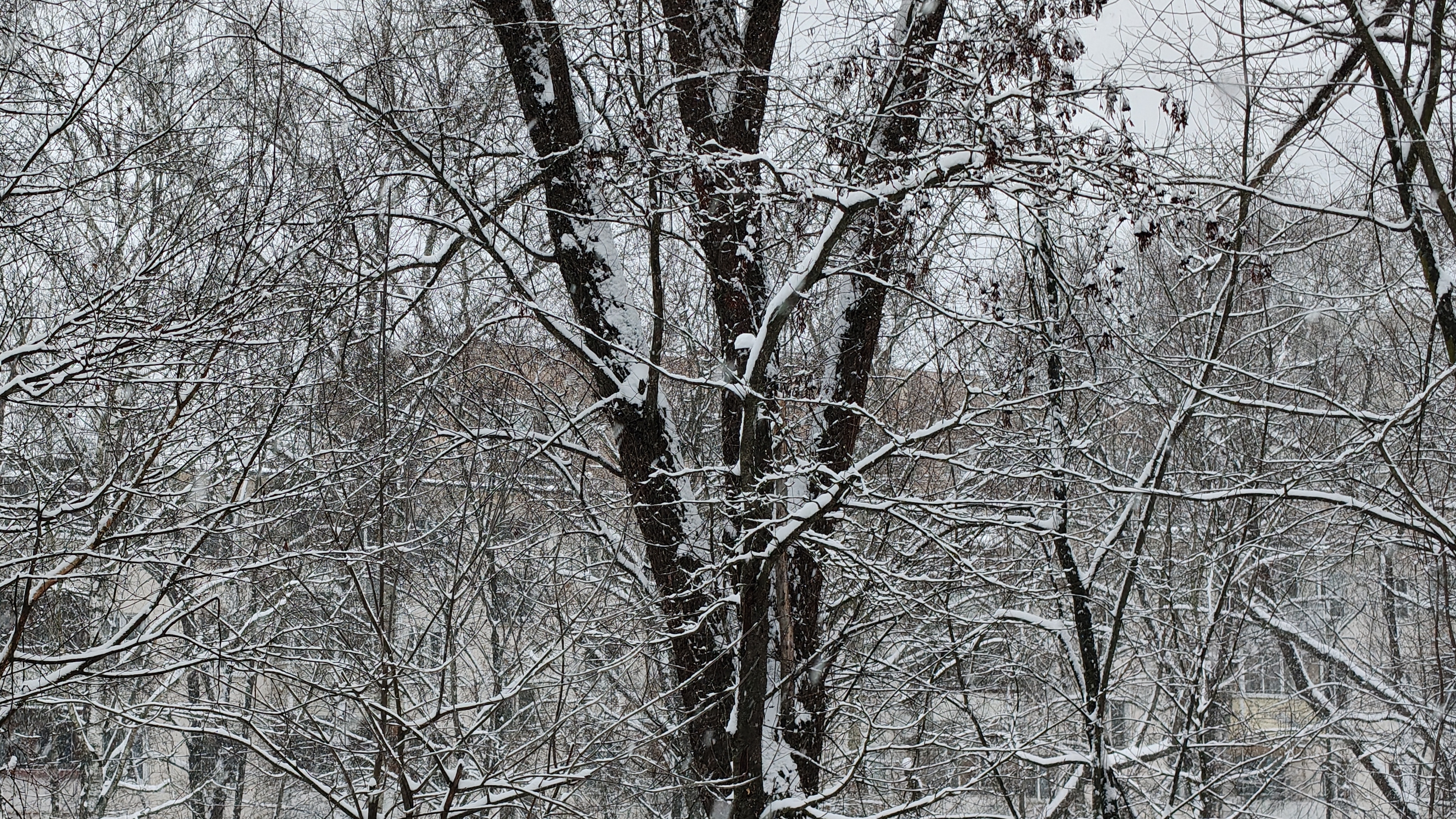 ЭМПАТАМ НЕ СМОТРЕТЬ, МАМОЧКА МОЯ смотреть онлайн