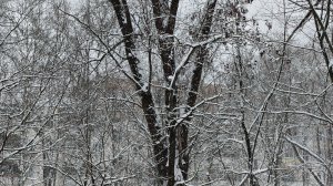 ЭМПАТАМ НЕ СМОТРЕТЬ, МАМОЧКА МОЯ