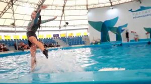 Шоу дельфинов в Дельфинарии (Таиланд, Паттайя)