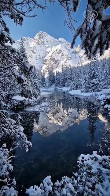 Долина Рыбьего Потока  — это живописная горная долина в польской части Высоких Татр