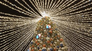 Покупки /готовые работы /прогулки