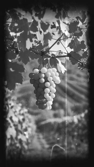 пребудьте во Мне #иисус смотреть онлайн