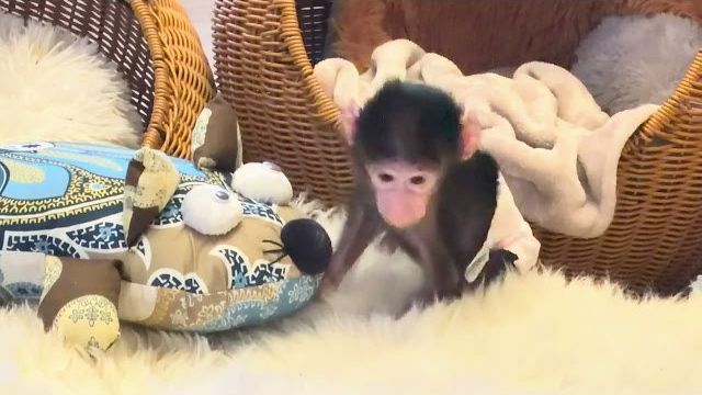 ТАК МИЛО! Николь уже немного сама играется и укладывает себя спать😘 смотреть онлайн