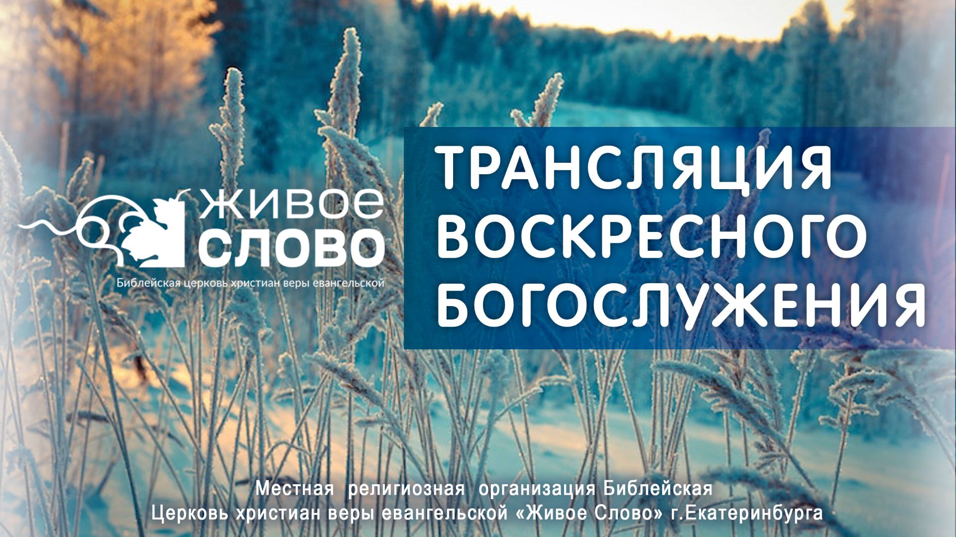 11 января 2026 в 11:00 (ЕКБ) / Воскресное #Богослужение / Церковь «Живое Слово» смотреть онлайн