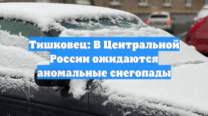 Тишковец: В Центральной России ожидаются аномальные снегопады