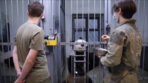 🐼 Как себя чувствует Катюша? 💕