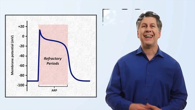 2_The Cardiac Action Potential Eric Strong