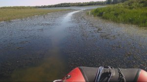 Нашёл рыбу там куда не заходят заряженные лодки