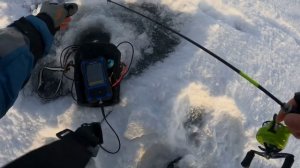 Ловля судака на финском заливе.Казакова.Рыбалка с эхолотом практик 8 Макс #рыбалкаспб #финскийзалив