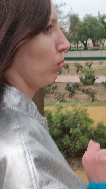 Парк Уэлин в Малаге