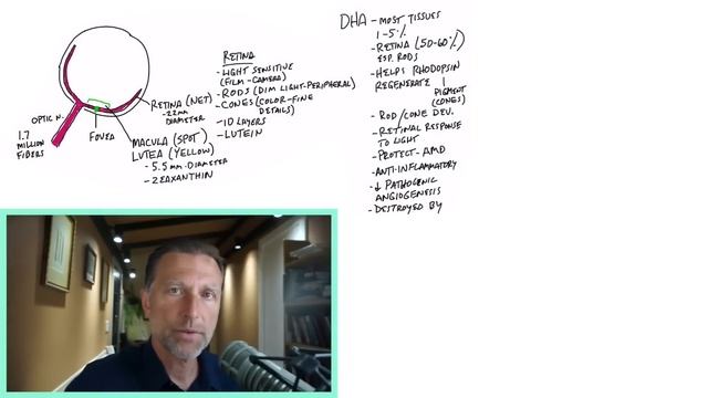 Dr.Berg.Самая полезная еда для здоровья ваших глаз🙌 смотреть онлайн