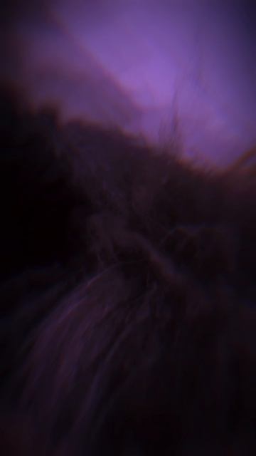 танцующий пес смотреть онлайн