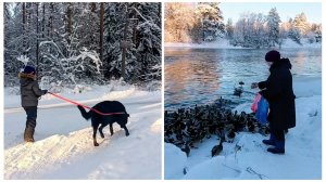 "Жизнь на пенсии".. Повседневные истории..