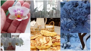 Снежное утро. Сырники. Цветочные перестановки на подоконнике.