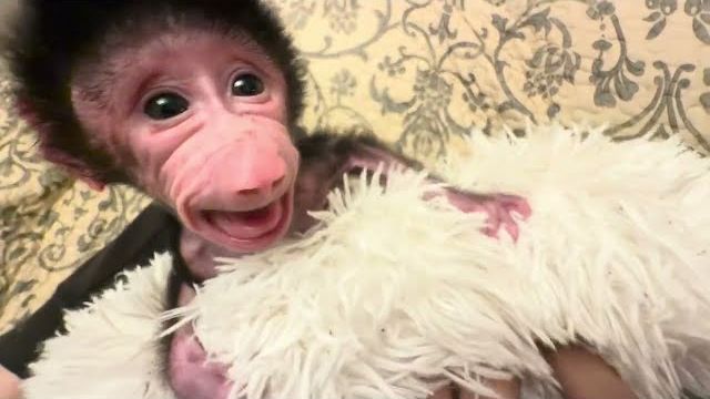 Николь вымотала нам с Владом все нервы, а Финик злится и на нее, и на нас))) смотреть онлайн