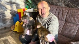 Папино счастье, все рядом, а Люська просто присела на коленочку)))