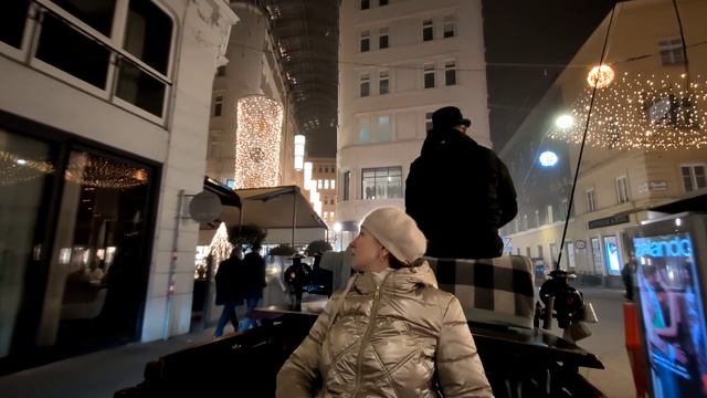Vienna, evening horse walking