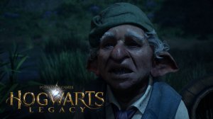 Лагерь гоблинов бандитов / Вселенная Гарри Поттера - Hogwarts Legacy #8