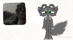 сори анимка потом щас арт