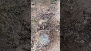 Кипарисовое озеро Сукко 8 января 2026: вода продолжает прибывать, но не так быстро