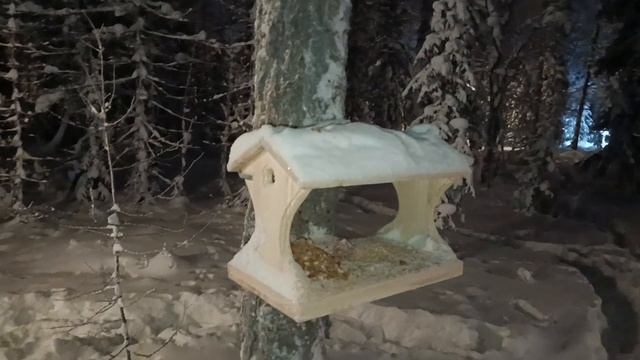 ГОТОВЛЮ ОБЕД/ПРОВЕРИЛИ ЗРЕНИЕ, КУПИЛИ ОЧКИ 🤦♀️ПРОГУЛЯЛИСЬ. смотреть онлайн