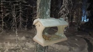 ГОТОВЛЮ ОБЕД/ПРОВЕРИЛИ ЗРЕНИЕ, КУПИЛИ ОЧКИ 🤦♀️ПРОГУЛЯЛИСЬ.