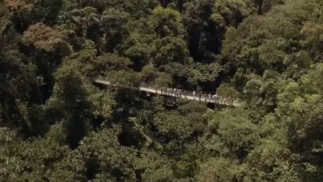 Познавательный мир-Дом.Запрещен в 36 странах мира👀