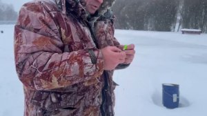 Онлайн с водоема