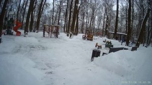 3-й лыжный поход сезона 25-26. Филёвский парк.