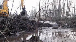 Бобры не ожидали, что мы доберёмся до этой плотины