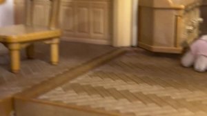 Сильвания Фэмилис+щянячий патруль. Карантин 2 часть.и передаю приветы!!!