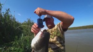 ВОТ ЭТО РЫБАЛКА! ЖОР СОМА НА САРАНЧУ. На рыбалку с женой. Закидушки на сазана.