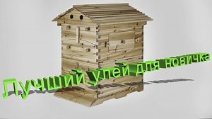 Профессор Кашковский рекомендует: лучший улей для старта в пчеловодстве