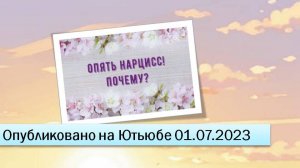 Опять нарцисс. Почему (фрагменты эфира 01.07.2023)