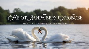 "НЕ ОТ МИРА БЕРУ Я ЛЮБОВЬ" авторская христианская песня