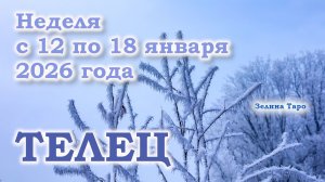 ТЕЛЕЦ | ТАРО прогноз на неделю с 12 по 18 января 2026 года