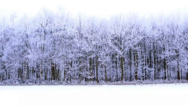 11 января - Всех ждёт большое испытание. смотреть онлайн