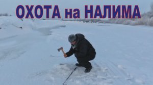 Дедовский способ поймать НАЛИМА и СУДАКА/ Ночной хищник на Нуре/ Зимние поставушки