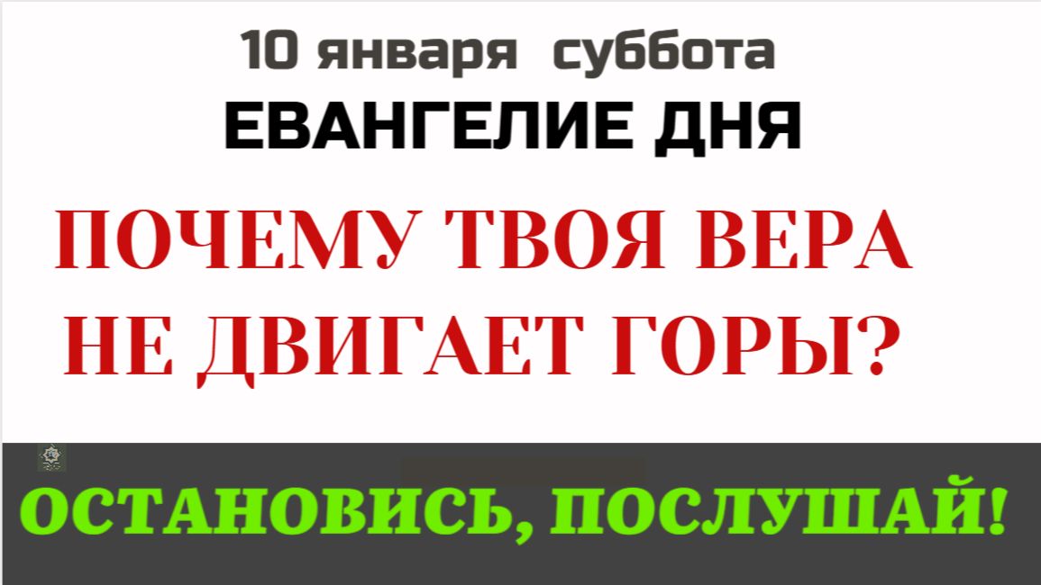 Прощать 7 раз в день. Невозможная заповедь или путь к свободе смотреть онлайн
