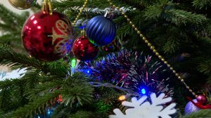 Экологическая акция «Елковорот»