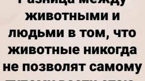 Интересные пословицы