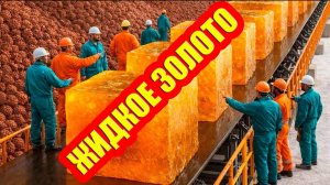 Сосновая смола: от древесного секрета до ЖИДКОГО ЗОЛОТА, которое стоит миллиарды.