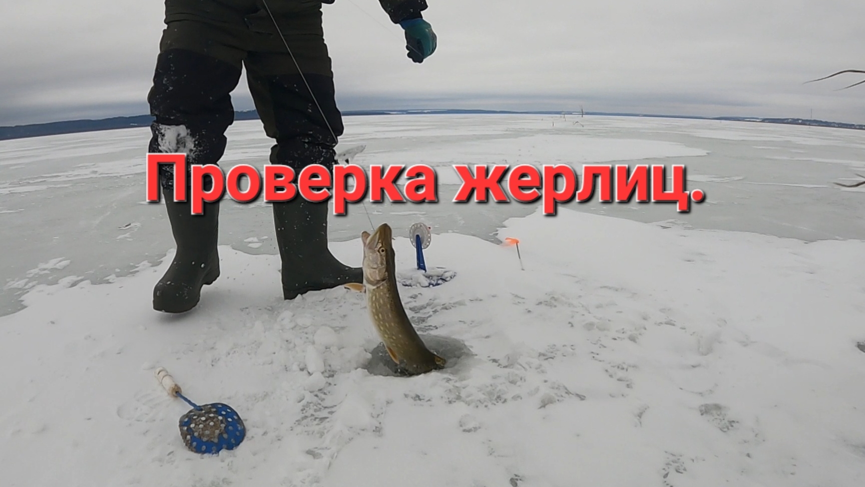 РЫБАЛКА НА ОЗЕРЕ. ПРОВЕРКА ЖЕРЛИЦ. смотреть онлайн