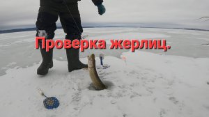 РЫБАЛКА НА ОЗЕРЕ. ПРОВЕРКА ЖЕРЛИЦ.