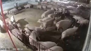 Момент прилёта "Орешника"