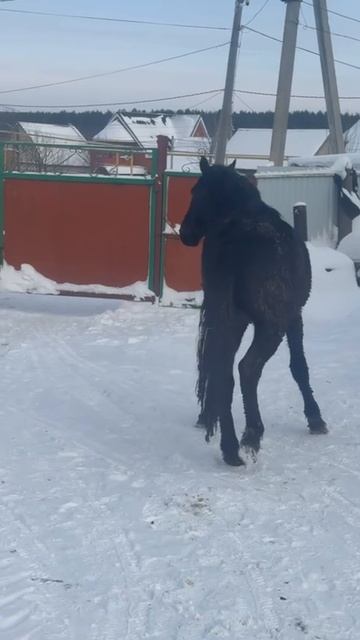 Друзья, хочу поделиться с вами прекрасной новостью и в то же время обратиться с большой просьбой.