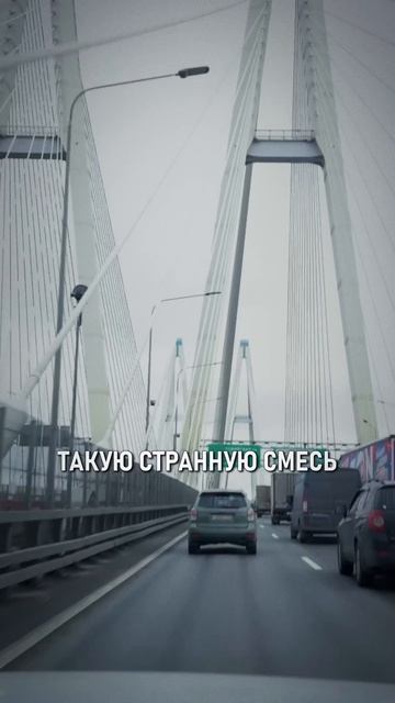 Новосаратовка VS Стрельна: где ЖИТЬ КОМФОРТНЕЕ в 2026 году? смотреть онлайн