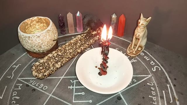 ПОРЧА ЗАУШНИЦА. СУЩНОСТЬ ПАРАЗИТ. ЗМЕИНАЯ ЗАКОЛЬЦОВКА.