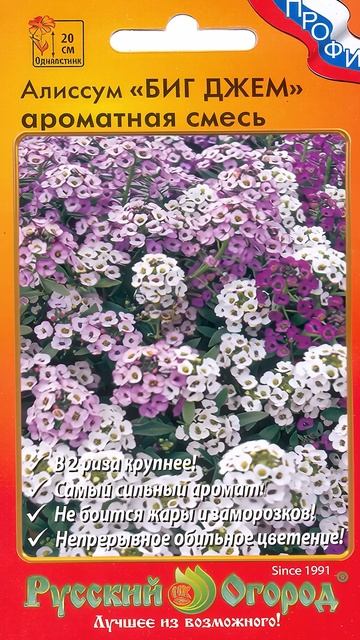 Цветёт Всё Лето, Растёт Сам — Знакомьтесь Алиссум! смотреть онлайн