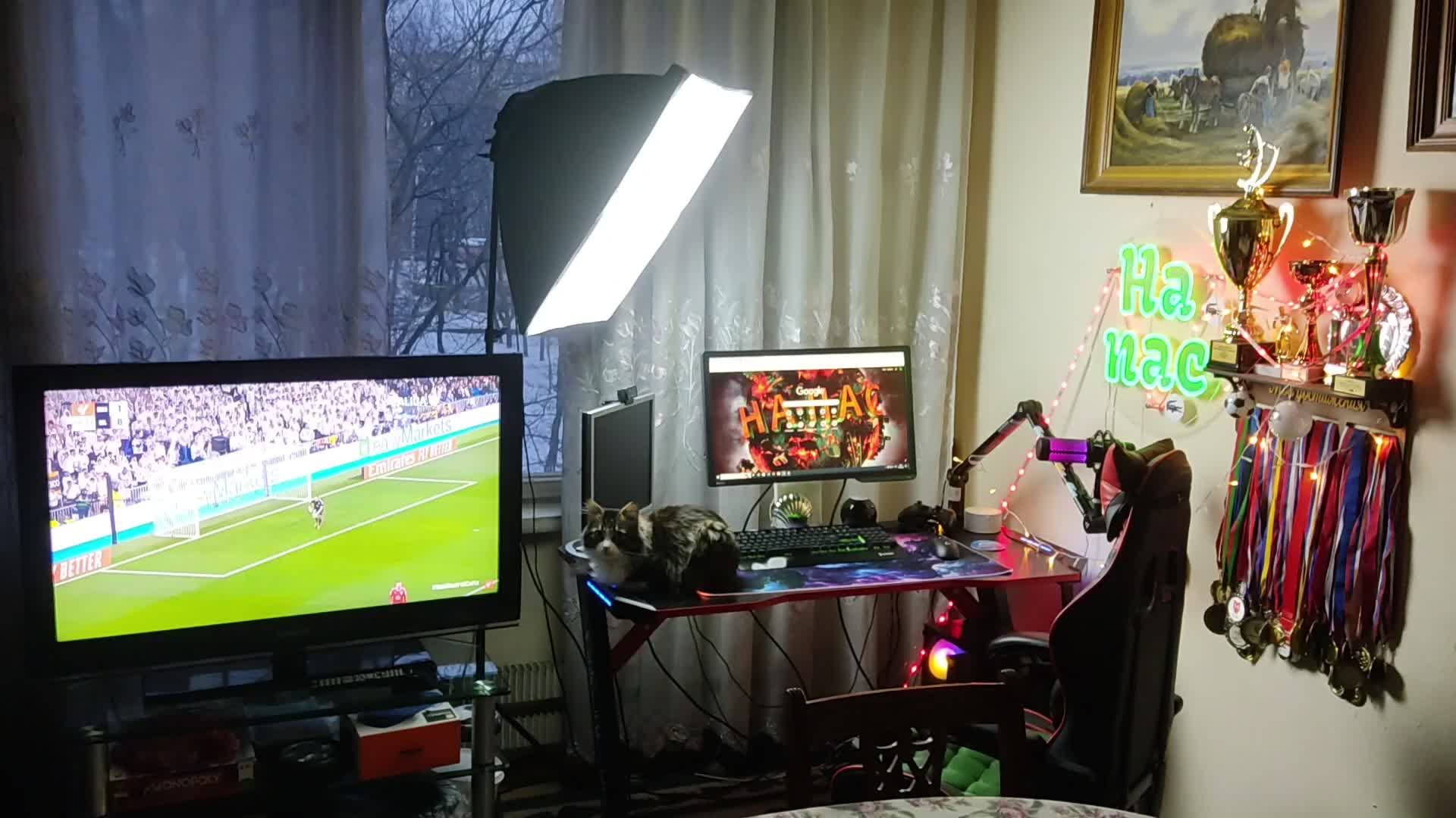 🎅День рождения компьютерной мыши🎄 смотреть онлайн